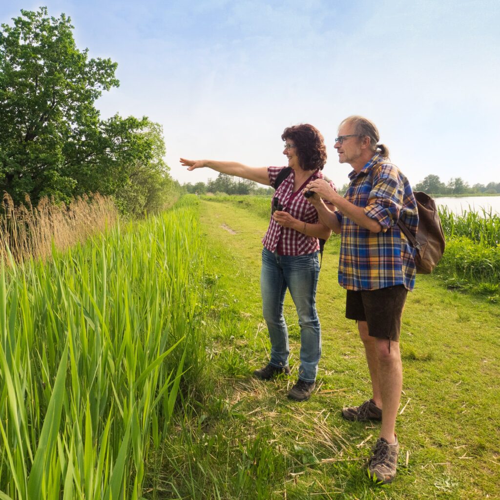 Erkunde die Heide am Campingpark Hüttensee in der Lüneburger Heide bei Winsen (Aller).
