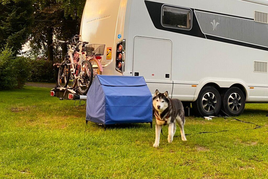 Urlaub mit Hund in der Lüneburger Heide auf dem Campingplatz mit Wohnwagen.