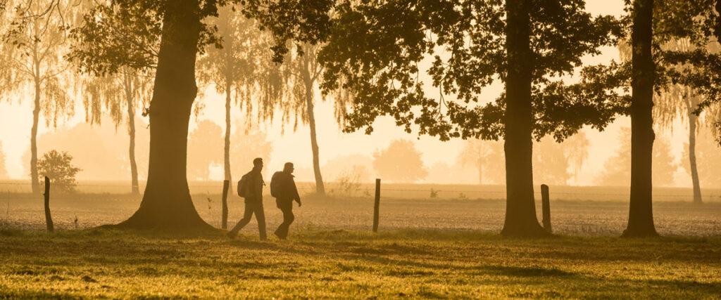 5 Highlights & Tipps für deinen Campingurlaub in der Lüneburger Heide - Perfekt für den Campingurlaub auf dem Campingplatz Hüttensee in der Lüneburger Heide am See.